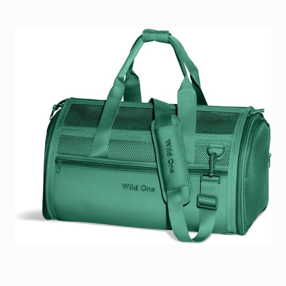 Green Dog Travel Carrier with Detachable Strap